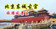 特级大黄片大屌插逼逼中国北京-东城古宫旅游风景区